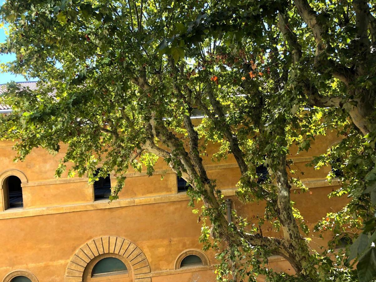 Beau 3 Pieces 83 M2 Au Coeur Du Centre Historique D'Aix En Provence Διαμέρισμα Αιξ-αν-Προβάνς Εξωτερικό φωτογραφία